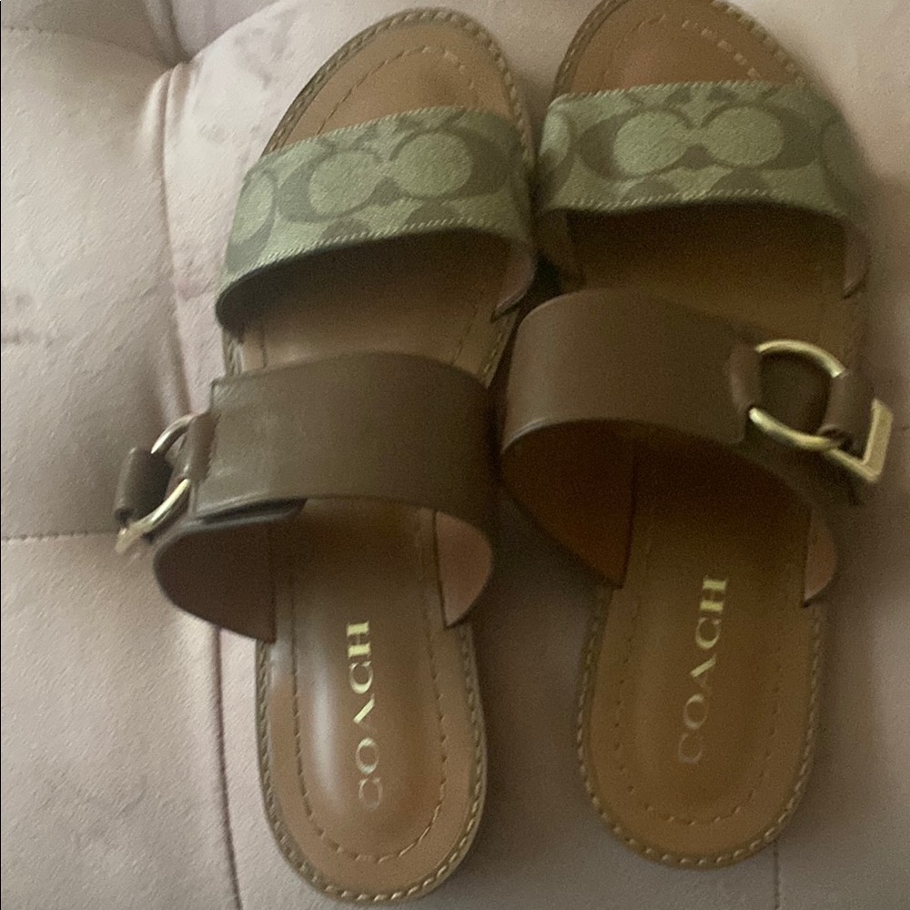 Coach Brown and Green Double-Strap Sandals